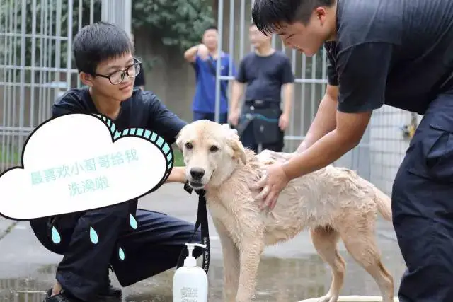 为什么<a href=